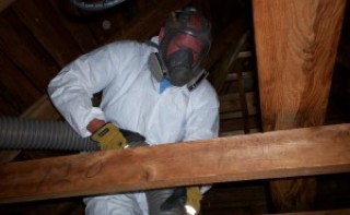 Man in hazmat gear clearing out an attic 